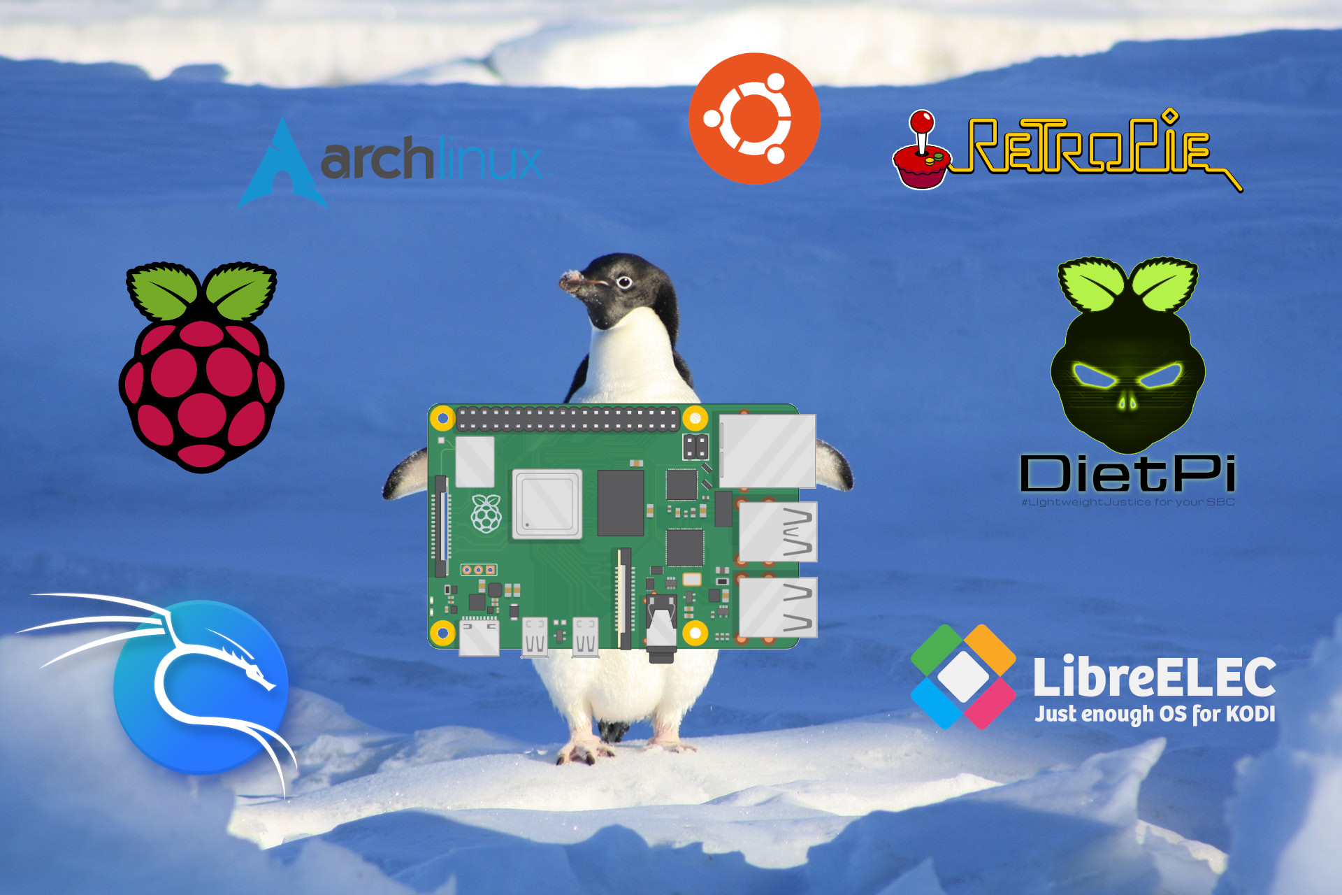 Raspberry Pi Betriebssysteme im Vergleich