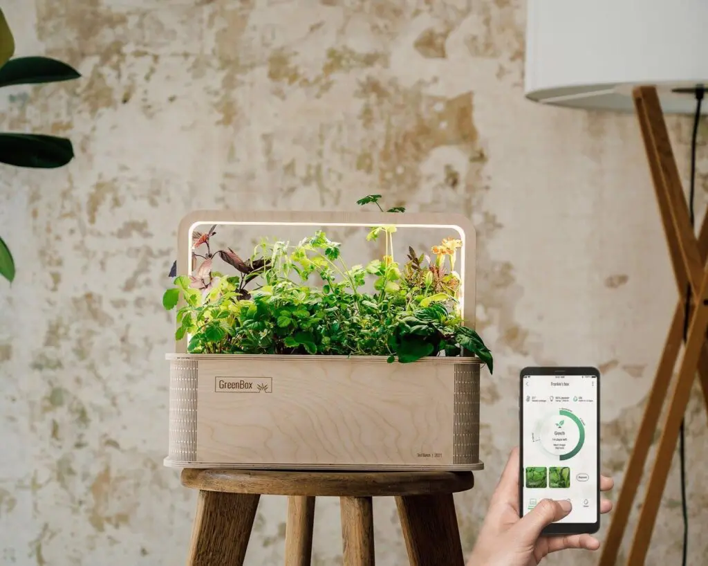 Berlin Green eine Growbox aus Holz mit Kräutern bewachsen und Smartphonsteuerung